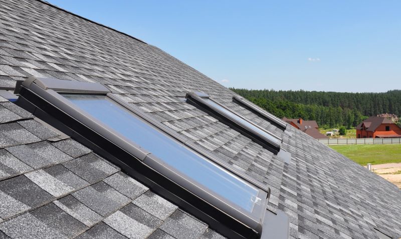 Roofing and Skylight Installers